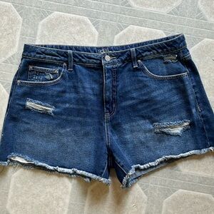 New without tags size 16 shorts very cute